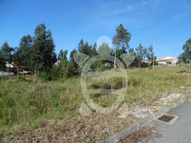 Terreno para venda, Quinta da Mainça, Coimbra