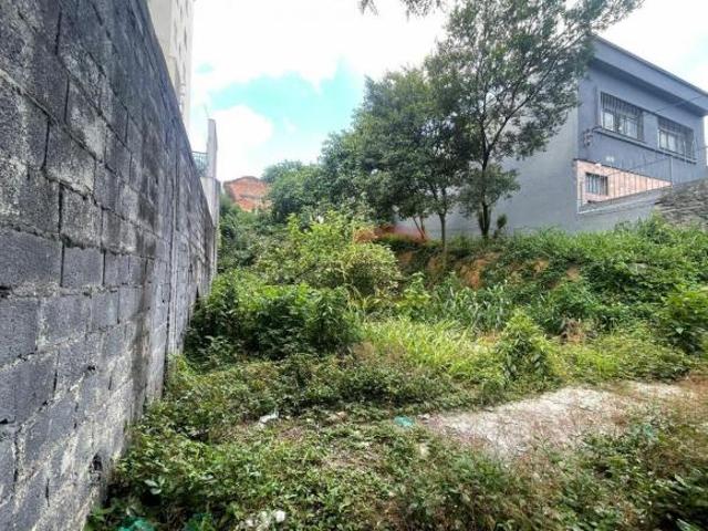 TERRENO PARA VENDA VILA GUILHERME