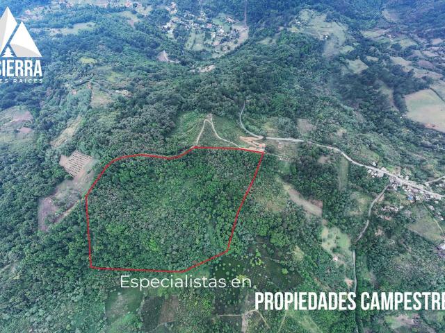 TERRENO PARA VIVIR O INVERTIR EN DONDE LA NATURALEZA INSPIRA