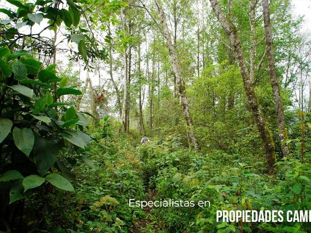 TERRENO PARA VIVIR O INVERTIR EN DONDE LA NATURALEZA INSPIRA