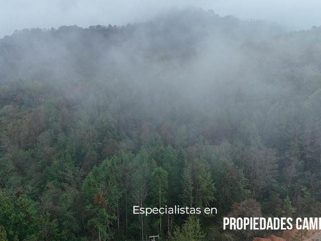TERRENO PARA VIVIR O INVERTIR EN DONDE LA NATURALEZA INSPIRA