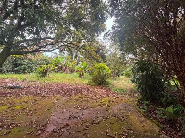 Terreno Paraíso da Cachoeira