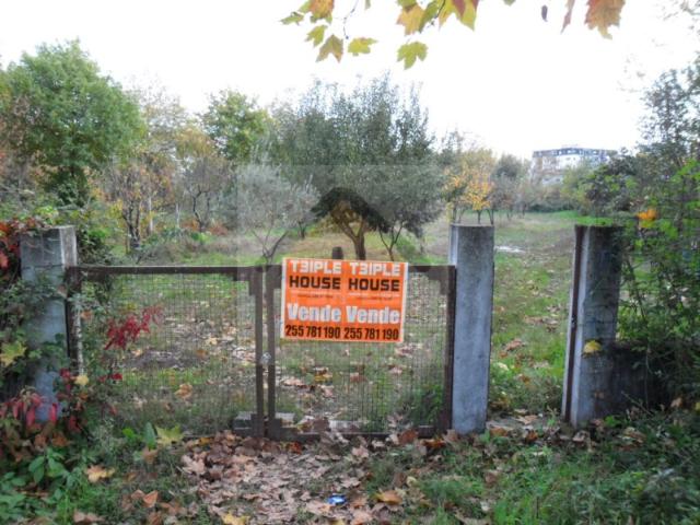 Terreno Paredes