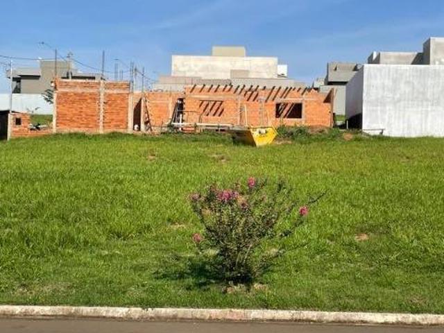 Terreno Parque Cambuí