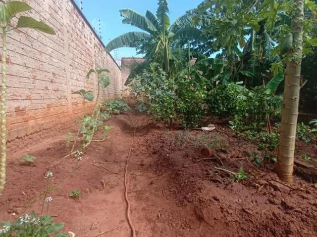 Terreno, Parque Iracema, Catanduva, SP