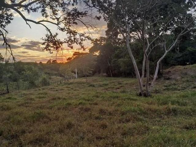 Terreno Paulista