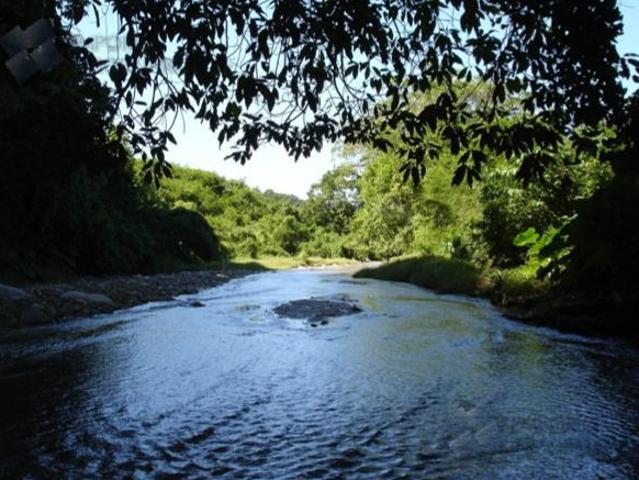 Terreno P/Desarrollo Venta 135HAS Sayulita $130,000,000 B389 E1