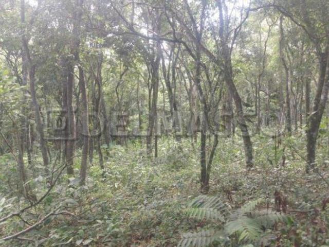 Terreno Pé na Água com 12.148 m²