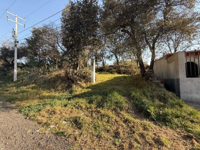 Terreno Pedregal de Guadalupe Hidalgo