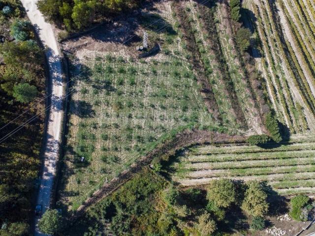 Terreno / Penafiel, Recezinhos São Martinho