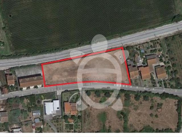 Terreno Pereira