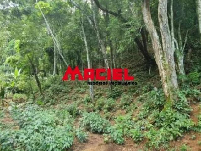 Terreno perfeito para um sítio em Ilhabela