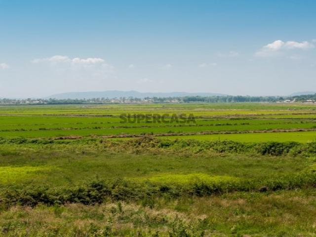 Terreno Perto da Praia
