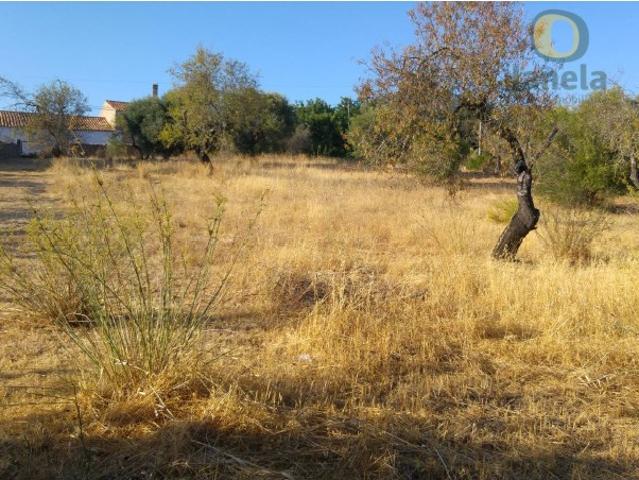 Terreno perto de S. Brás de Alportel