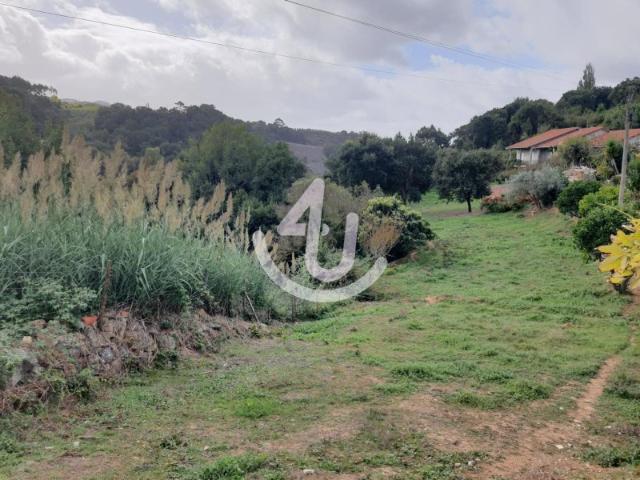 Terreno perto do Mosteiro de Alcobaça para construção