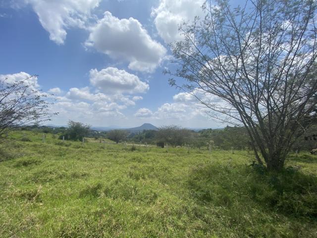 TERRENO PEXTL?N, XICO, VER