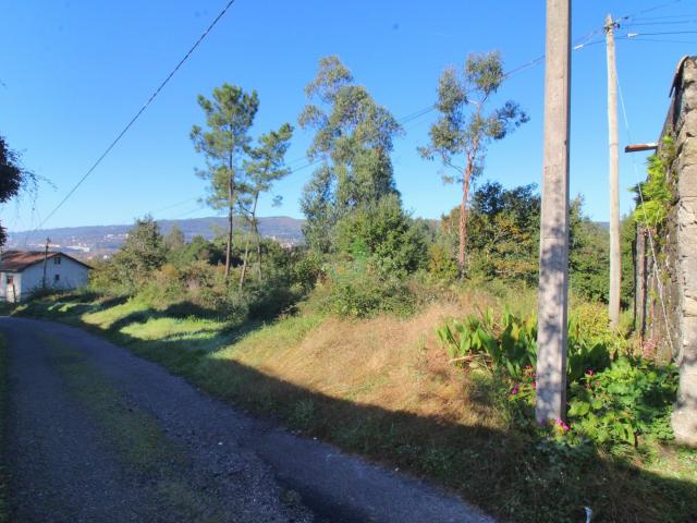 Terreno Pico, Vila Verde