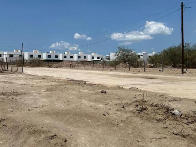 Terreno Pino Pallas