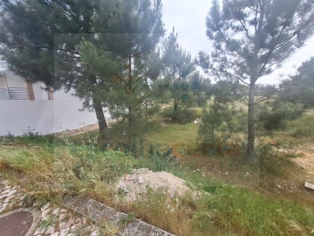 Terreno Pinhal Novo