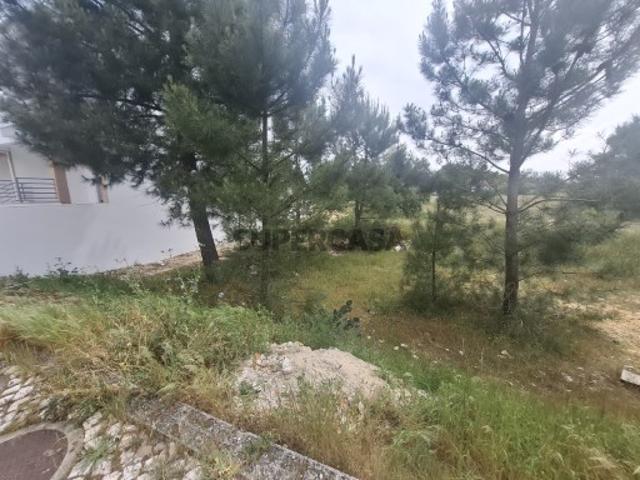 Terreno Pinhal Novo