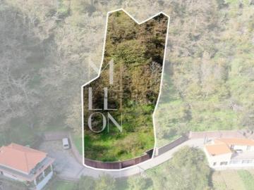 Terreno Agrícola no sítio da Fajã Escura | Curral das Freiras| Câmara de Lobos | Ilha da Madeira