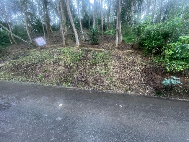 Terreno Plan de la Cruz