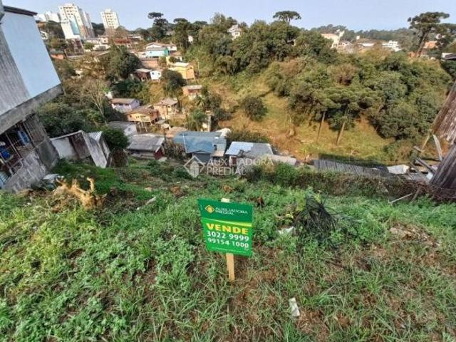 Terreno Planalto