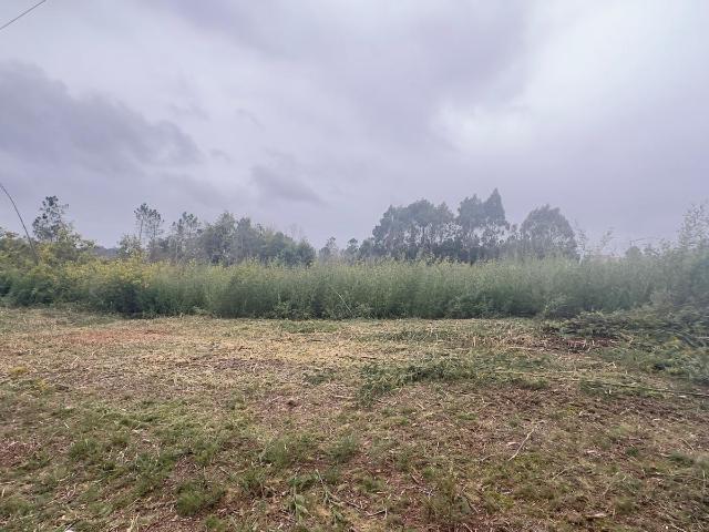 Terreno plano Mundao