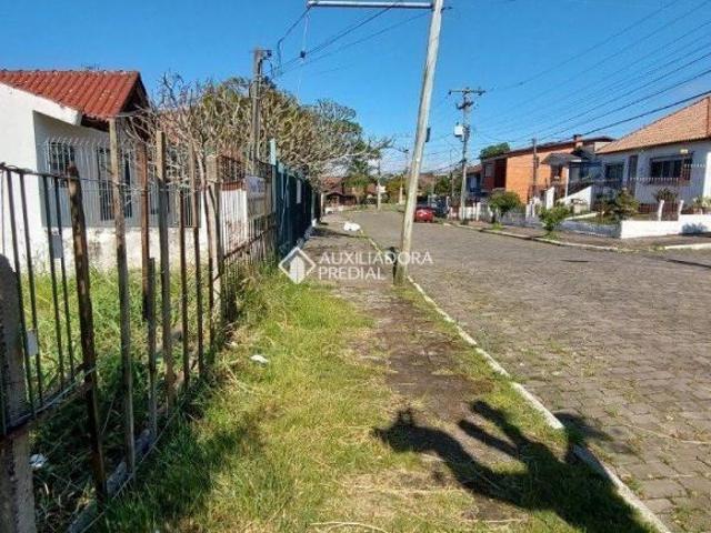 Terreno plano medindo 10 x 20. 200 M²