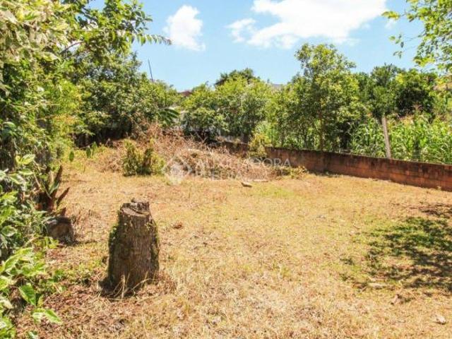 Terreno plano no Bairro Santo André, em São Leopoldo!