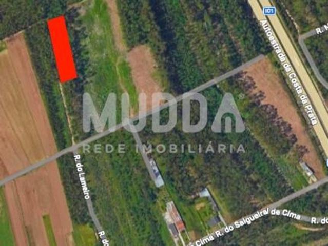 Terreno plano a pinhal com 2727,20m2, em Ovar