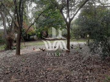 Terreno plano à venda, ótima localização no bairro Barão Geraldo, 1.238m²