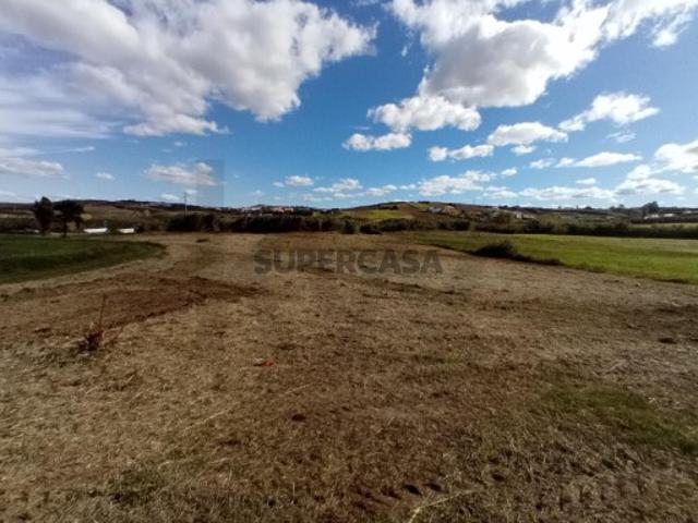 Terreno Plano Agrícola, 5.898 m², Poço, Arrecadação e Bons Acessos S Pedro da Cadeira, Torres Vedras