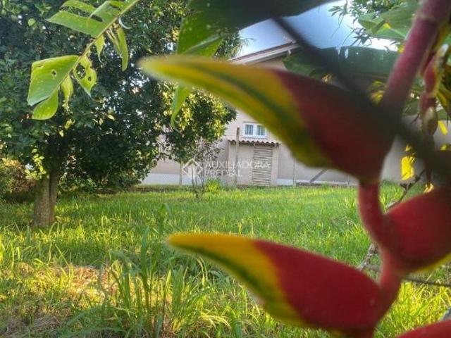 Terreno plano com 429,00m², medindo 13,00 x 33,00 no Bairro Ideal