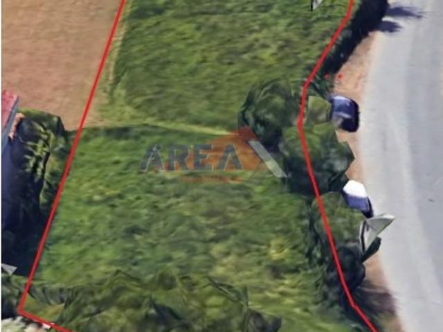 Terreno plano com viabilidade de construção! a 3 min de Oliveira de Azeméis. Muito sol!