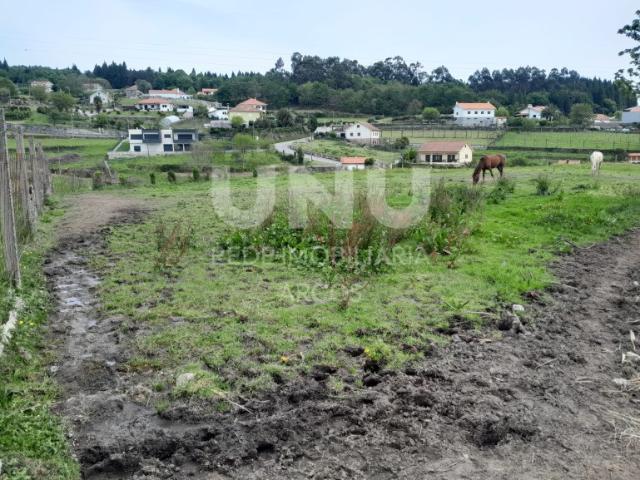 Terreno Plano com Viabilidade de Construção na Miranda