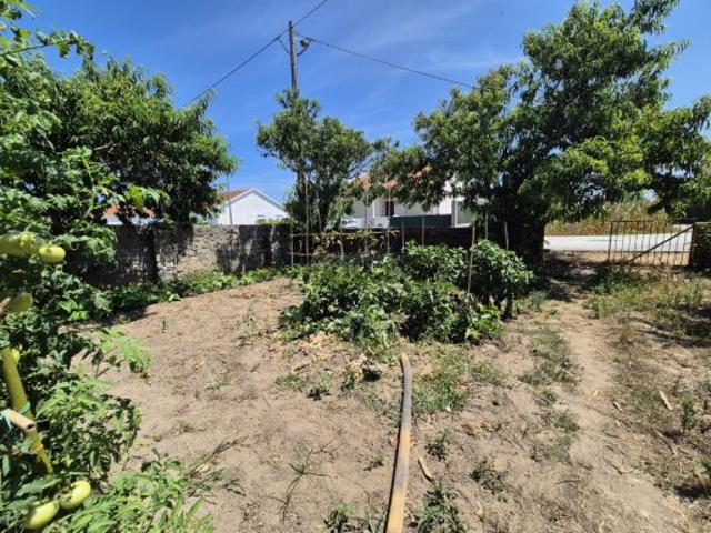 Terreno plano com viabilidade de construção Paião Figueira da Foz