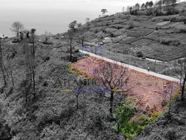Terreno Plano com Vistas Panorâmicas Fajã da Ovelha, Raposeir