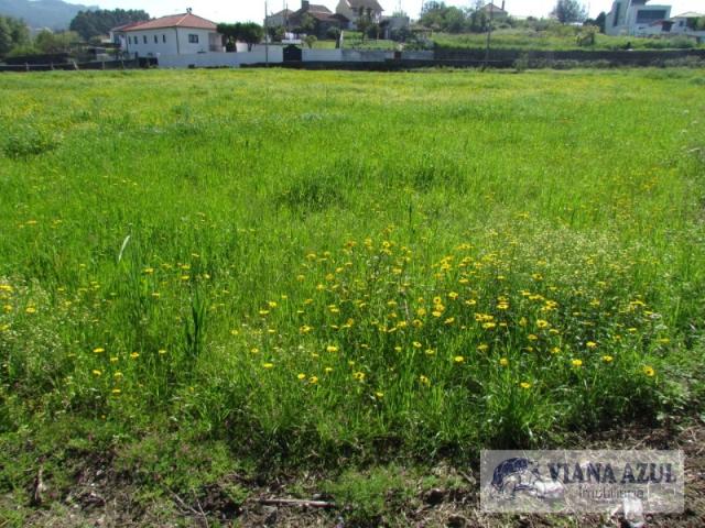 Terreno plano com a área aproximada de 4.137 m2