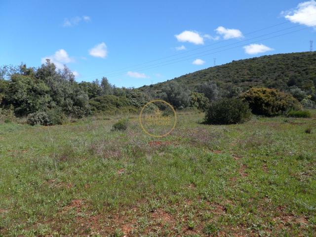 Terreno plano com a área de 13.900 m² à entrada de Loulé