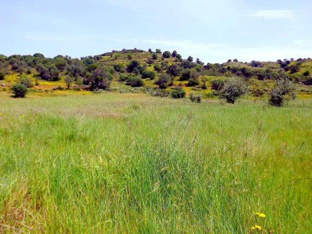 Terreno plano com água, próximo do Guadiana