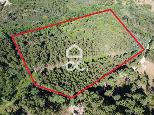 Terreno Rustico à venda em Redondelo