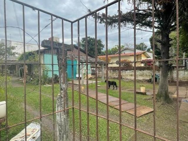 Terreno plano com casa no bairro Ideal em Novo Hamburgo