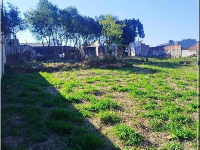 TERRENO PLANO COM GRANDE POTENCIAL CONSTRUTIVO! IM