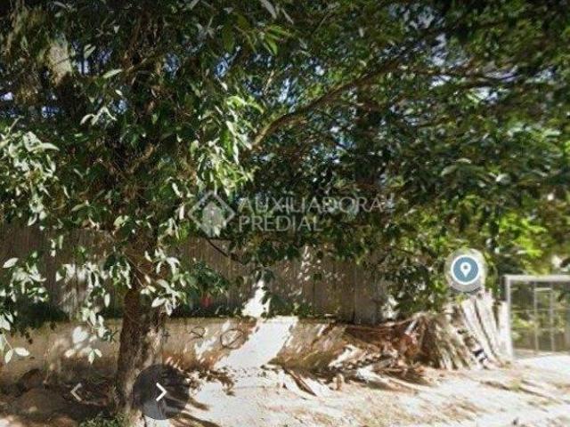 TERRENO PLANO, COM ÓTIMA ÁREA PARA CONSTRUÇÃO, PRÓXIMO A WENCESLAU ESCOBAR