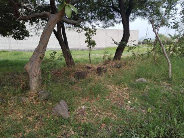 TERRENO PLANO CON CANAL DE AGUA