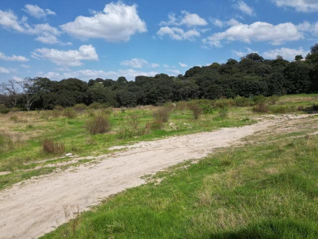 Terreno plano con ?rboles en VENTA | Tepotzotl?n | EDOMEX
