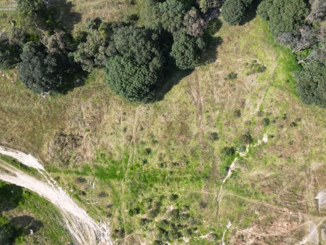 Terreno plano con ?rboles en VENTA | Tepotzotl?n | EDOMEX