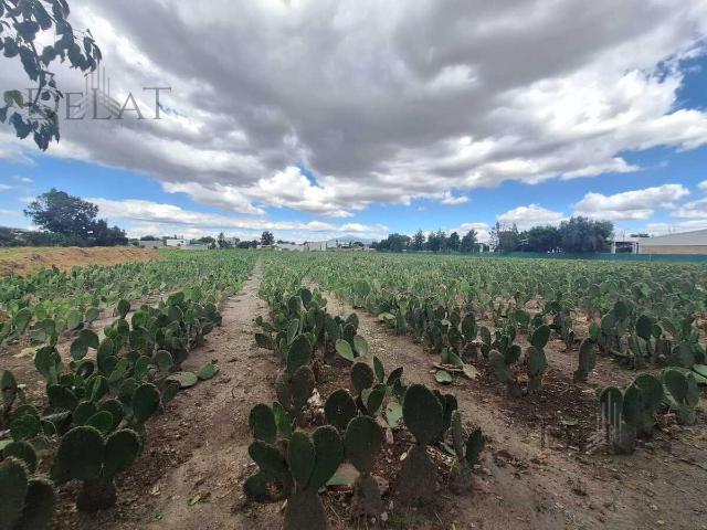 Terreno plano de 11,750 m? con servicios, San Andr?s Cholula
