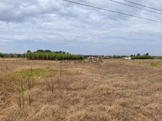 Terreno Plano de 12.997 m² no Pinhal Novo: Água Própria e Viabilidade PDM